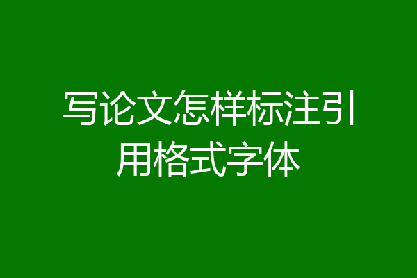 写论文怎样标注引用格式字体