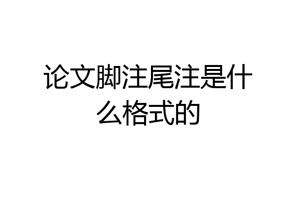 论文脚注尾注是什么格式的