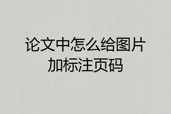 论文中怎么给图片加标注页码