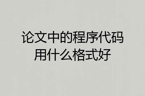 论文中的程序代码用什么格式好