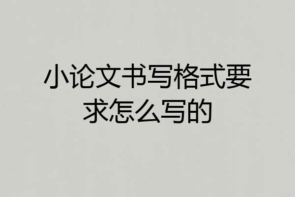 小论文书写格式要求怎么写的