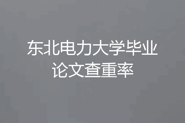 东北电力大学毕业论文查重率