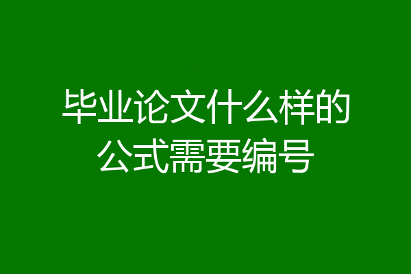 毕业论文什么样的公式需要编号
