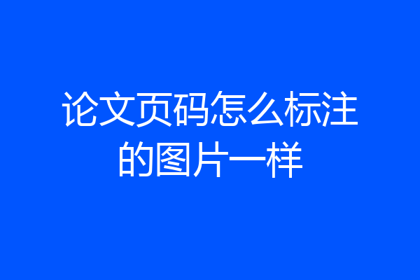 论文页码怎么标注的图片一样