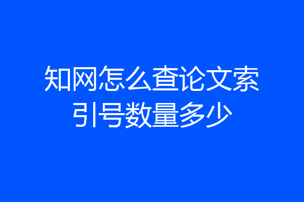 知网怎么查论文索引号数量多少