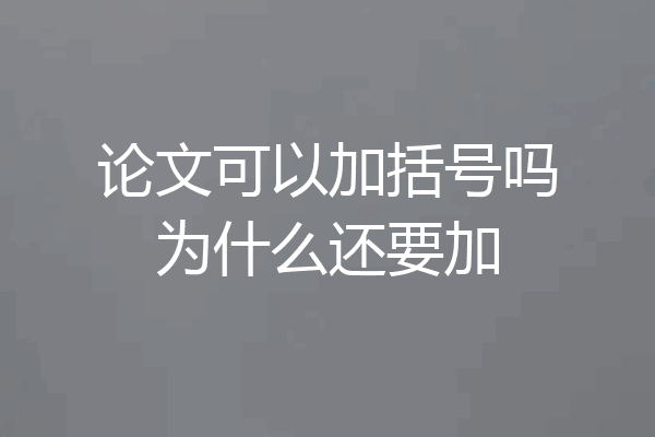 论文可以加括号吗为什么还要加