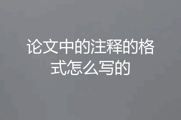论文中的注释的格式怎么写的