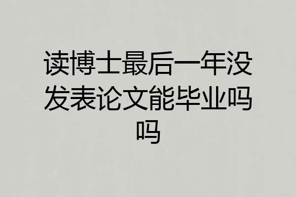 读博士最后一年没发表论文能毕业吗吗