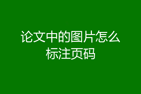 论文中的图片怎么标注页码