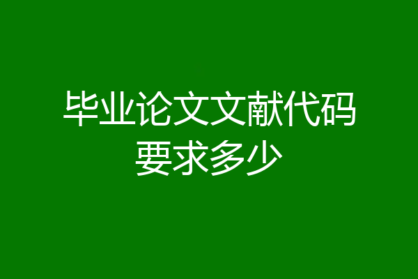 毕业论文文献代码要求多少