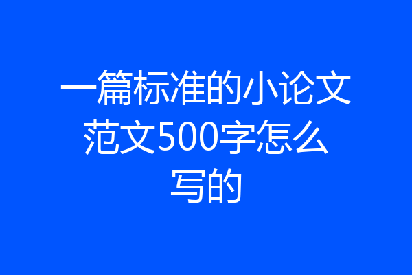 一篇标准的小论文范文500字怎么写的