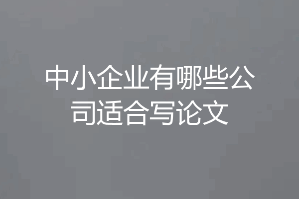 中小企业有哪些公司适合写论文