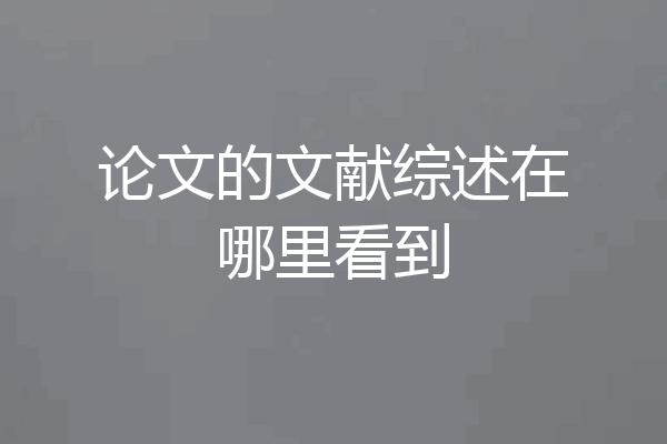 论文的文献综述在哪里看到
