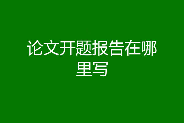 论文开题报告在哪里写