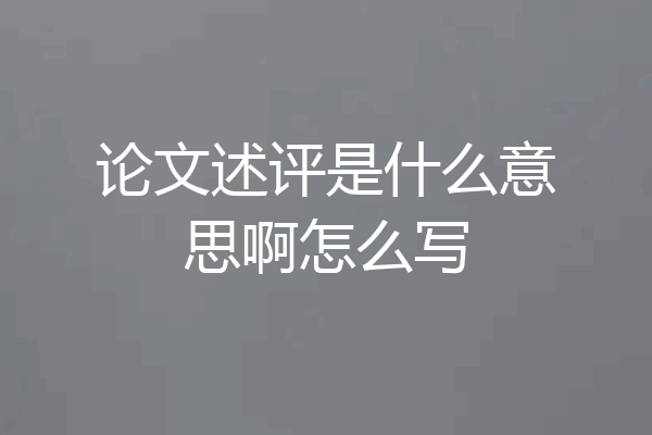 论文述评是什么意思啊怎么写