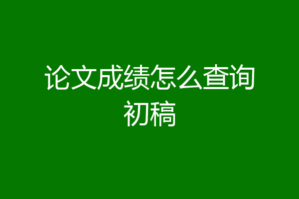 论文成绩怎么查询初稿