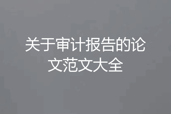 关于审计报告的论文范文大全