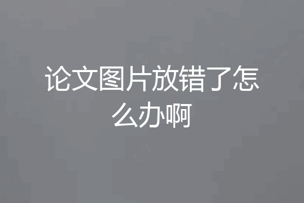 论文图片放错了怎么办啊