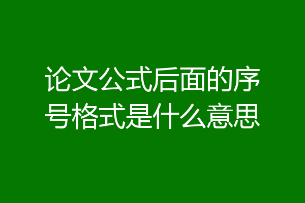 论文公式后面的序号格式是什么意思