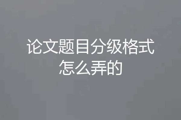 论文题目分级格式怎么弄的