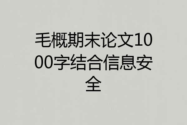 毛概期末论文1000字结合信息安全