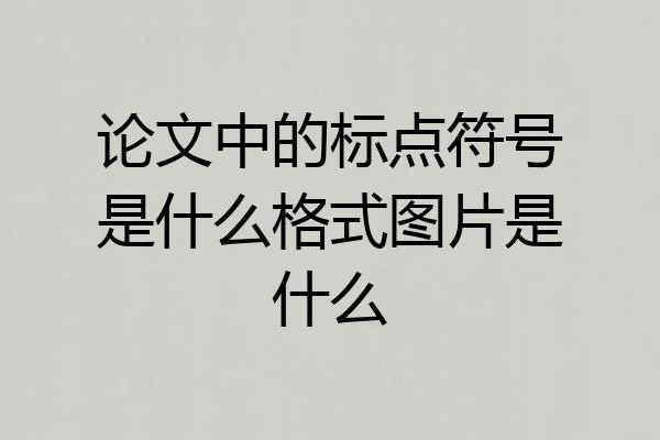 论文中的标点符号是什么格式图片是什么