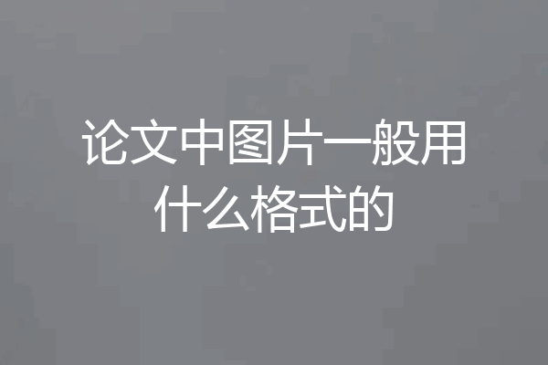 论文中图片一般用什么格式的