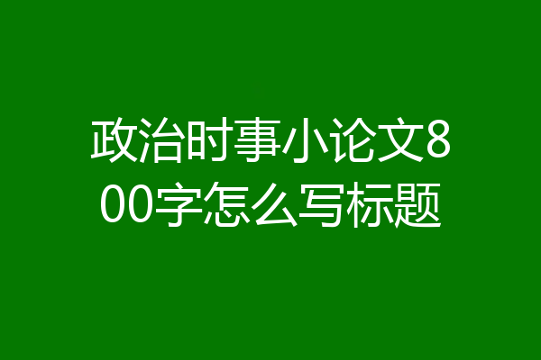 政治时事小论文800字怎么写标题