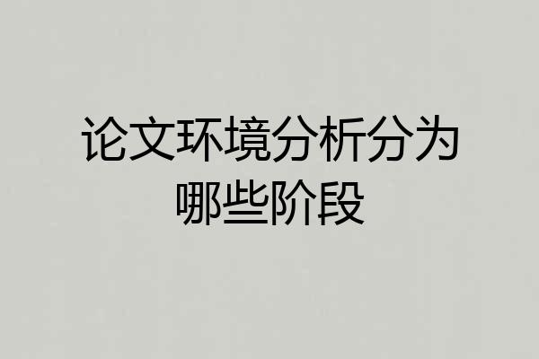 论文环境分析分为哪些阶段