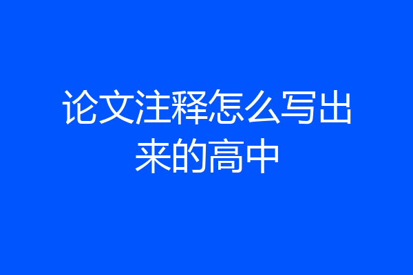 论文注释怎么写出来的高中