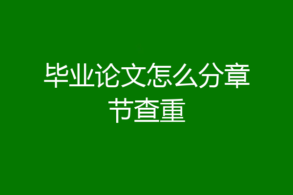 毕业论文怎么分章节查重
