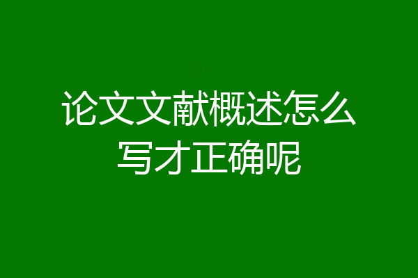 论文文献概述怎么写才正确呢