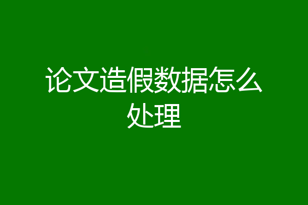 论文造假数据怎么处理