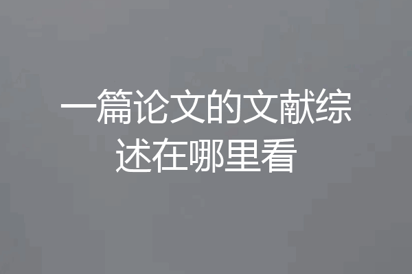 一篇论文的文献综述在哪里看