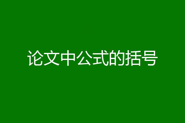 论文中公式的括号