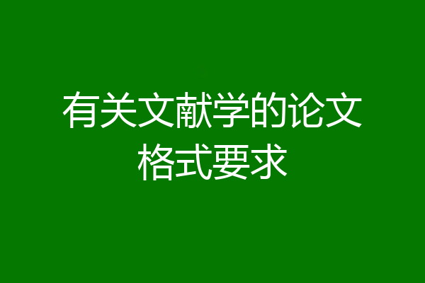 有关文献学的论文格式要求