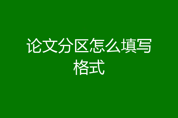 论文分区怎么填写格式