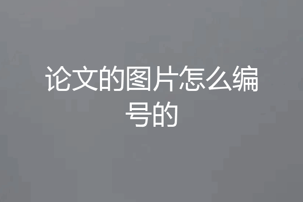 论文的图片怎么编号的