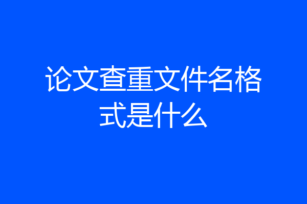 论文查重文件名格式是什么