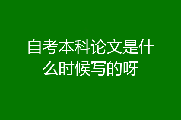 自考本科论文是什么时候写的呀