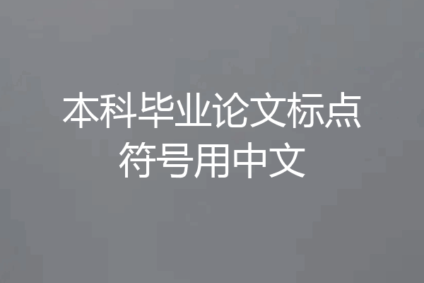 本科毕业论文标点符号用中文