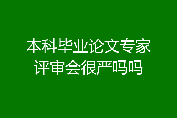 本科毕业论文专家评审会很严吗吗