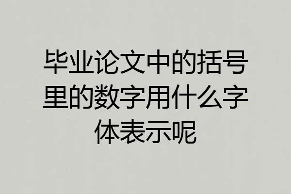 毕业论文中的括号里的数字用什么字体表示呢