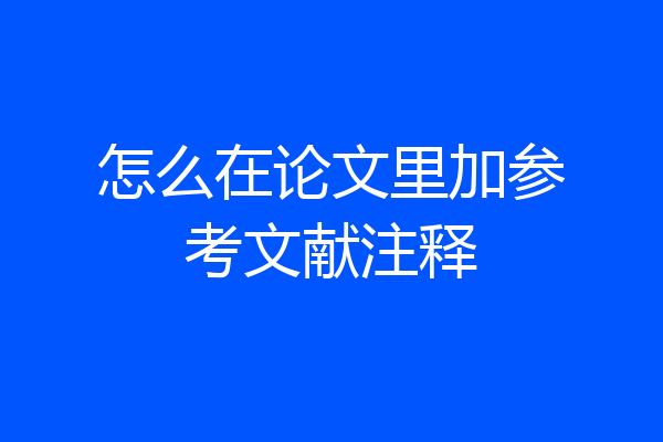 怎么在论文里加参考文献注释