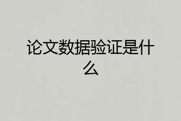 论文数据验证是什么