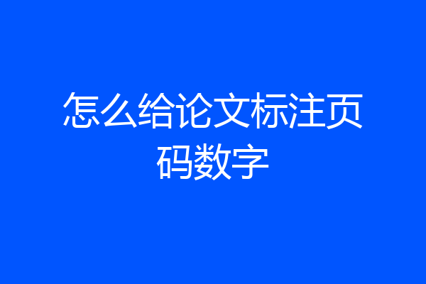 怎么给论文标注页码数字