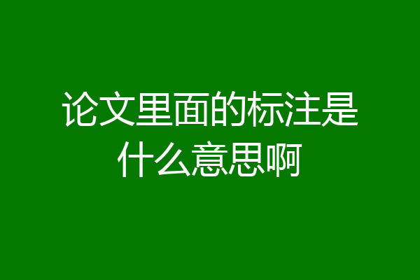 论文里面的标注是什么意思啊