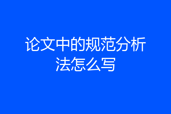 论文中的规范分析法怎么写