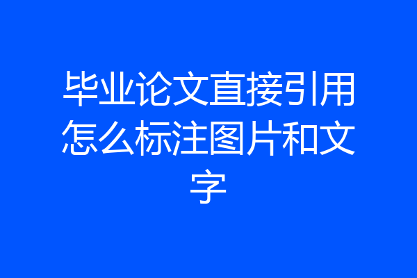 毕业论文直接引用怎么标注图片和文字