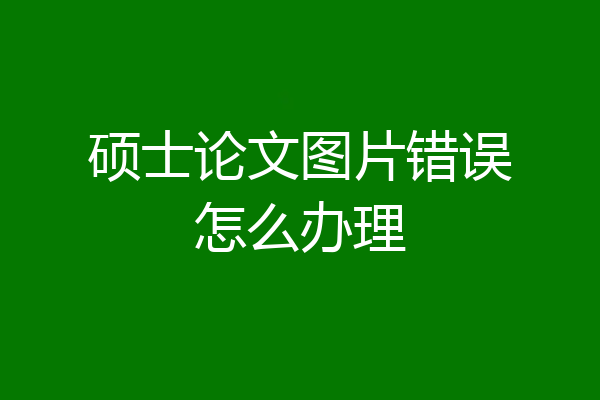 硕士论文图片错误怎么办理